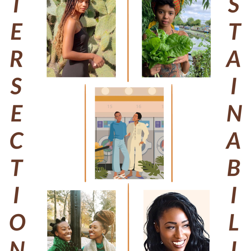 The New Faces of the Sustainability Movement