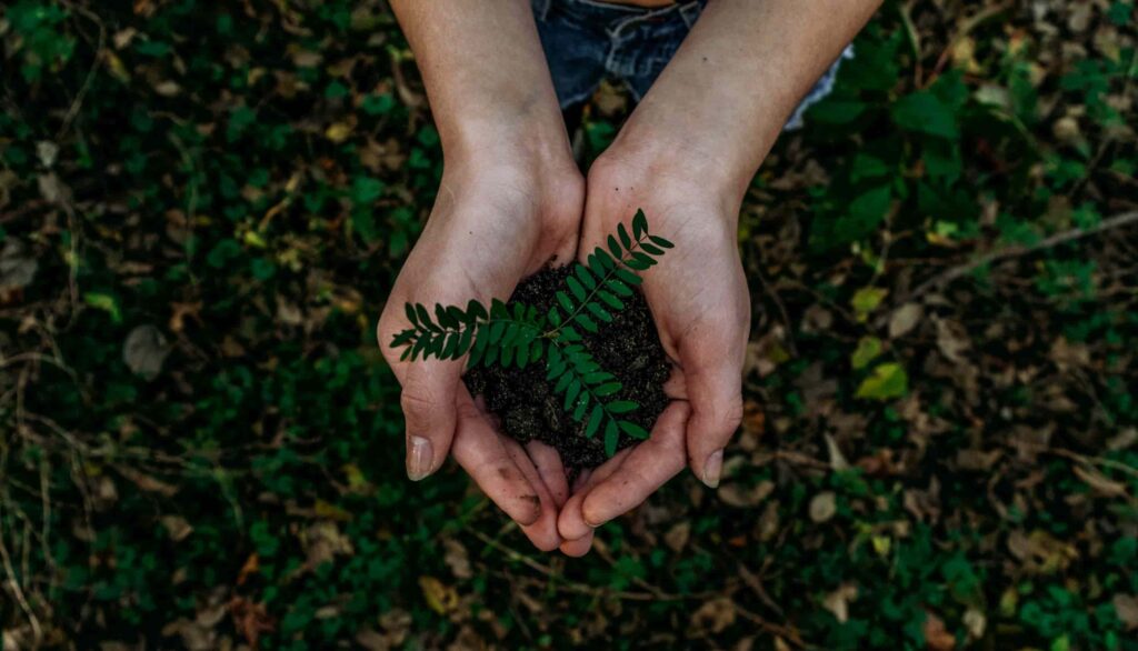 Sustainability Made Simple: What Is Earth Day?