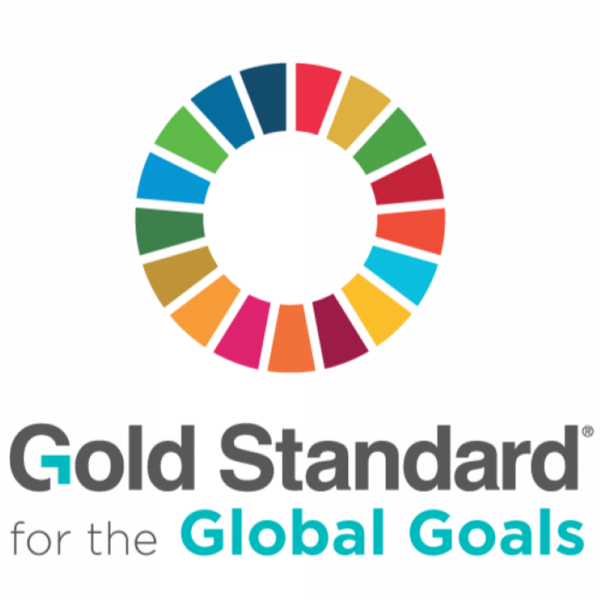 gold standard for global goals